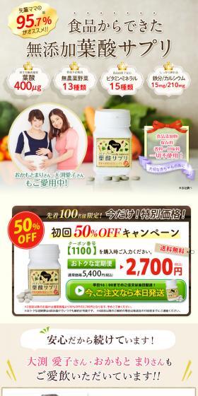 Patty Folic Acid Supplement LP design (Health and Beauty Foods and Supplements / Beige tones / Health and Wellness) PC version