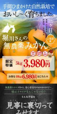Horikawa Family's Pesticide-Free Mandarin Oranges LP design (fruit-vegetable / Multi-color type / Strong) PC version