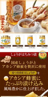 Yamada Bee Farm Special Set: Ginger in Honey LP design (Health and Beauty Foods and Supplements / Brown tones / Lively type) PC version