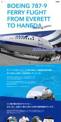 Boeing 787-9 International Configuration Ferry Flight LP design (Services, Insurance, and Finance / Shades of blue / Simple) PC version