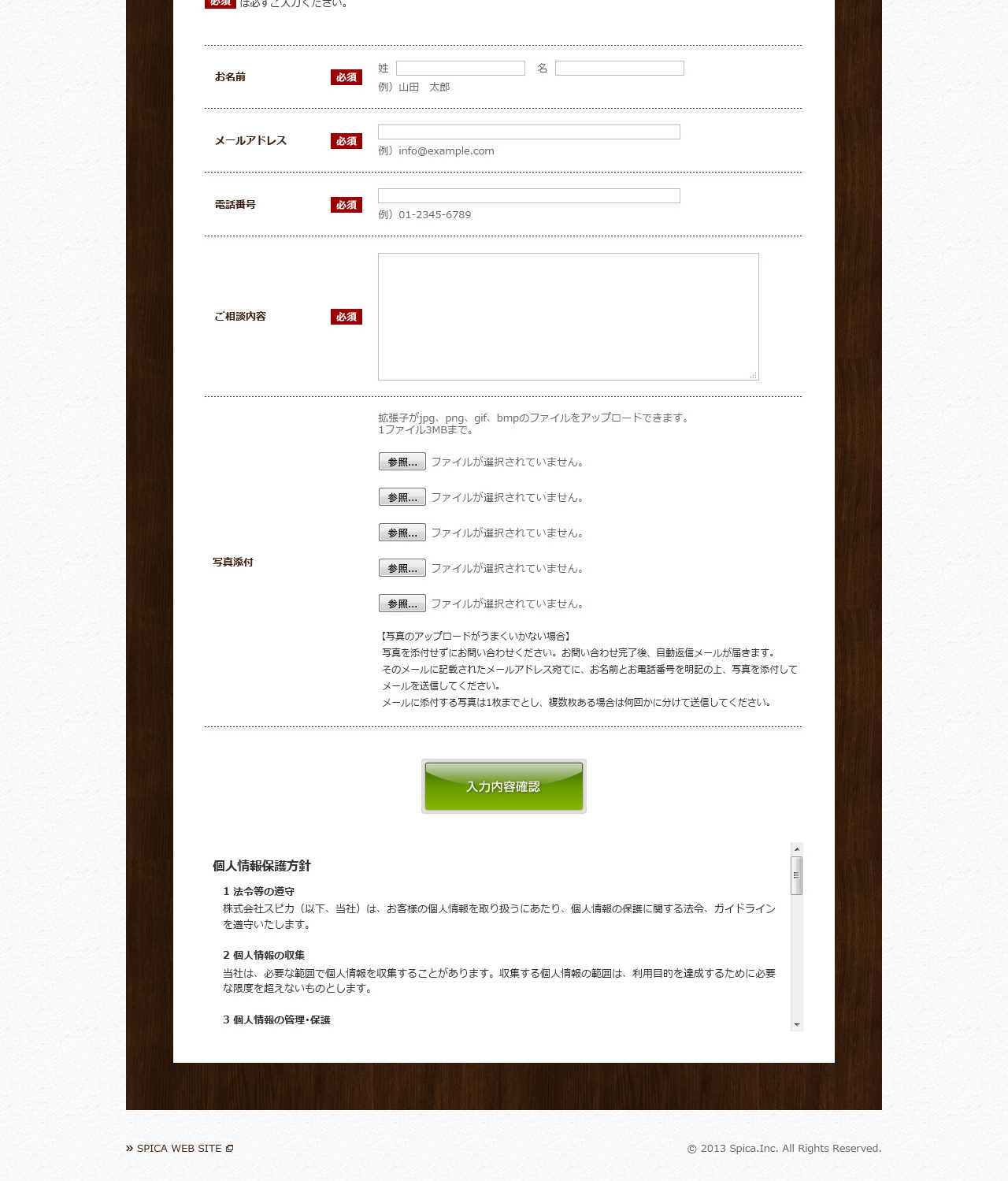 Professional Leather Care Spica LP design (Services, Insurance, and Finance / White-based / Simple) PC version