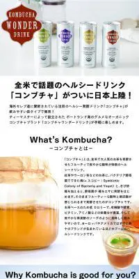 コンブチャドリンクのLPデザイン（健康・美容食品・サプリ／ホワイト系／シンプル系）PC版
