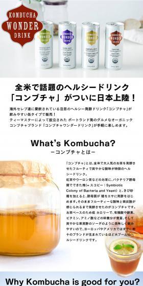 Kombucha drink LP design (Health and Beauty Foods and Supplements / White-based / Simple) PC version