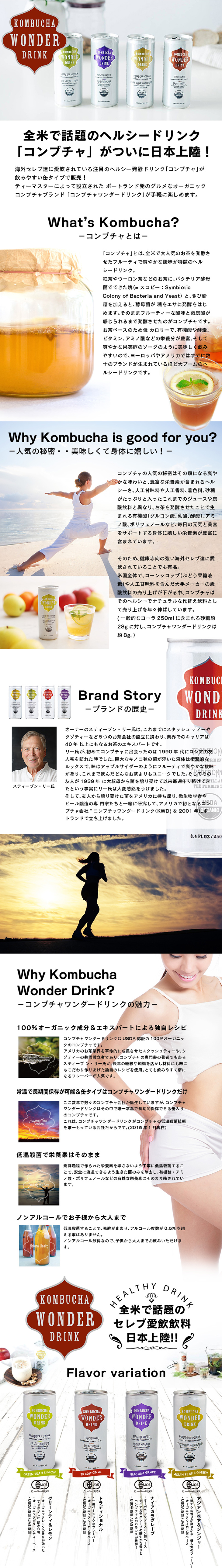 Kombucha drink LP design (Health and Beauty Foods and Supplements / White-based / Simple) PC version