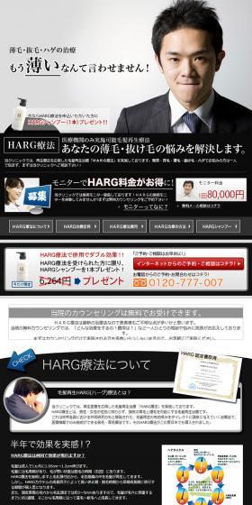 HARG therapy LP design (Services, Insurance, and Finance / Shades of grey / Trust and Safety) PC version