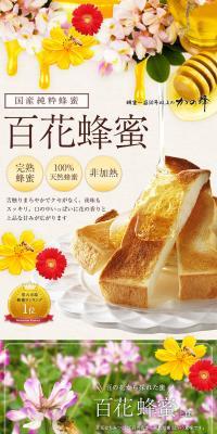 Pure Domestic Wildflower Honey LP design (Health and Beauty Foods and Supplements / Brown tones / Cute style) PC version