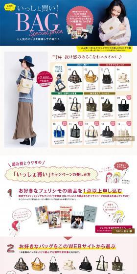 Add-on Bag Special Price LP design (fashion / White-based / Simple) PC version