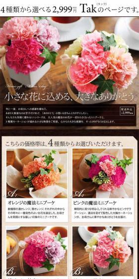 Tac LP design (Pets, Flowers, DIY Tools / Brown tones / Organic) PC version