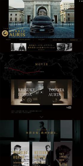 HYBRID AURIS LP design (Cars, Motorcycles, Bicycles / Black-colored / Simple) PC version