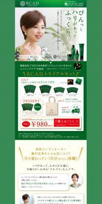 B.C.A.D Trial Set LP design (Beauty, Skincare, Fragrance / Green tones / Trust and Safety) PC version