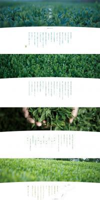 瑞芳園 - 昔ながらの有機農法で作る旨いお茶のLPデザイン（食品／グリーン系／シンプル系）PC版