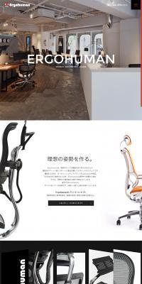 Ergohuman LP design (Interior, furniture, and bedding / Shades of grey / Cool style) PC version