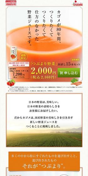 Premium Vegetable Drink 15-Bottle Trial Set LP design (Health and Beauty Foods and Supplements / Brown tones / Organic) PC version
