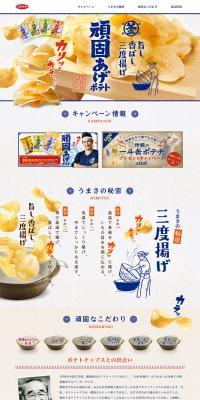 Stubbornly Fried Potatoes LP design (Health and Beauty Foods and Supplements / Shades of grey / Lively type) PC version