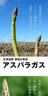 北海道産アスパラガスのLPデザイン（フルーツ・果物・野菜／カラフル系／シンプル系）PC版