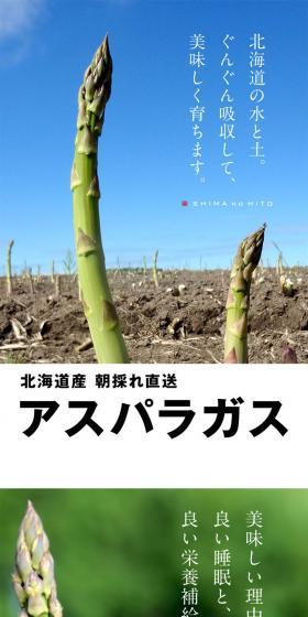 Hokkaido asparagus LP design (fruit-vegetable / Multi-color type / Simple) PC version