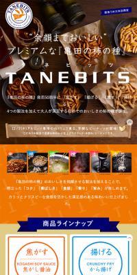 TANEBITSのLPデザイン（スイーツ・スナック菓子／オレンジ系／シンプル系）スマホ版