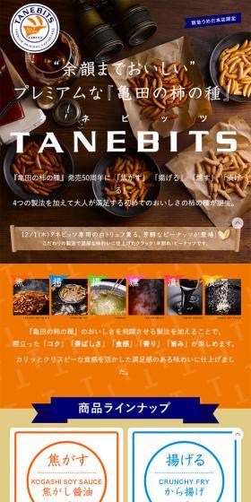 TANEBITSのLPデザイン（スイーツ・スナック菓子／オレンジ系／シンプル系）スマホ版