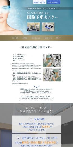 Ptosis Center LP design (Services, Insurance, and Finance / Shades of blue / Trust and Safety) PC version
