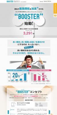 Sales Channel Development/Expansion Support Service BOOSTER LP design (Services, Insurance, and Finance / Shades of grey / Trust and Safety) PC version
