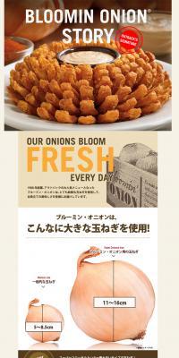 Bloomin' Onion LP design (Businesses, companies, stores / Brown tones / Cool style) PC version
