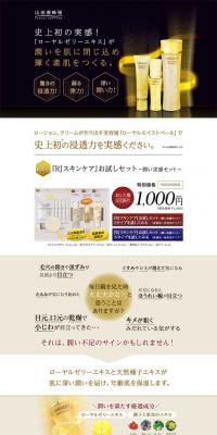 RJ Skincare Trial Set LP design (Beauty, Skincare, Fragrance / Brown tones / Refined style) PC version