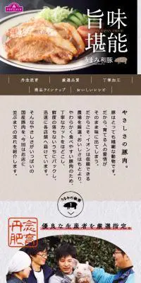 旨味を堪能できる、トップバリュうまみ和豚。のLPデザイン（食品／グレー系）スマホ版