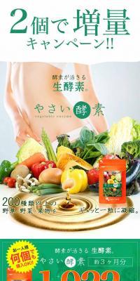 Vegetable Enzyme LP design (Health and Beauty Foods and Supplements / Green tones / Strong) PC version