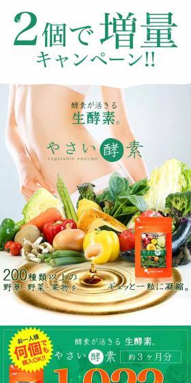 Vegetable Enzyme LP design (Health and Beauty Foods and Supplements / Green tones / Strong) PC version