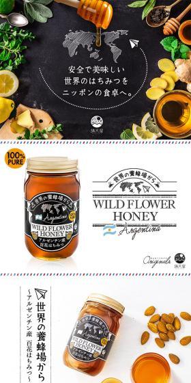 Argentine Wildflower Honey LP design (food / White-based / Natural style) PC version