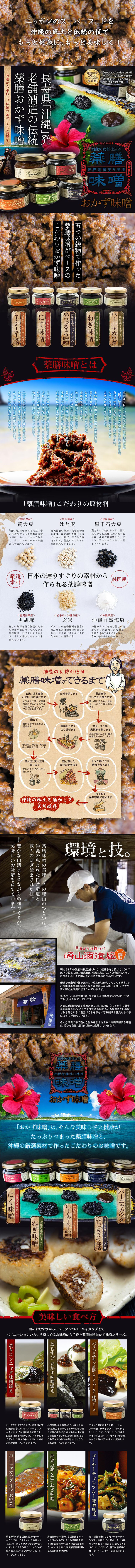 薬膳味噌のLPデザイン（食品／ブラウン系／力強い系）PC版