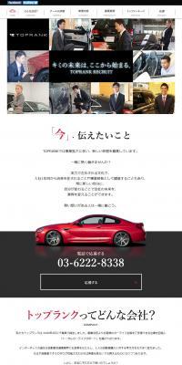 Total Car Life Support LP design (Services, Insurance, and Finance / White-based / Simple) PC version
