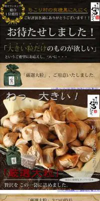 ちこり村有機黒にんにくのLPデザイン（健康・美容食品・サプリ／ブラウン系／力強い系）PC版