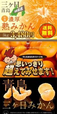 Premium Mikkabi Aoshima Mandarin Oranges LP design (food / Black-colored / Strong) PC version