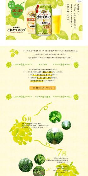 Ichiban Shibori Freshly Picked Hops LP design (Beverages and Alcohol / yellow / Arts) PC version