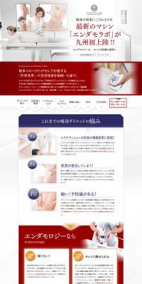 Endamo Lab LP design (Beauty services / White-based / Refined style) PC version