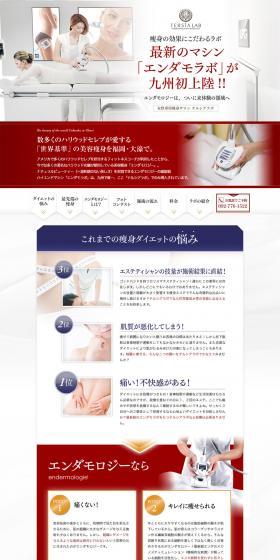 Endamo Lab LP design (Beauty services / White-based / Refined style) PC version