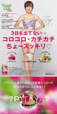 ベジーデルヴィータ　ラクトピタヤ酵素粒のLPデザイン（健康・美容食品・サプリ／グレー系／力強い系）PC版