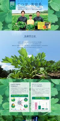 Chomeiso (Peucedanum japonicum) LP design (Health and Beauty Foods and Supplements / Green tones / Trust and Safety) PC version
