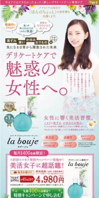 The boujee LP design (Beauty, Skincare, Fragrance / Multi-color type / Trust and Safety) PC version