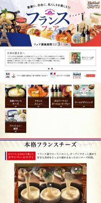 世界のいいものイオンから。イオン ワールドフェスタ！のLPデザイン（食品／ブラウン系／キレイ系）PC版