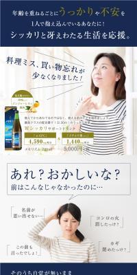 Memorism LP design (Health and Beauty Foods and Supplements / Shades of blue / Simple) PC version