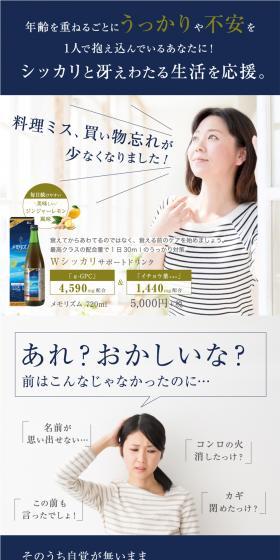 Memorism LP design (Health and Beauty Foods and Supplements / Shades of blue / Simple) PC version