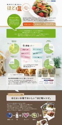 Lightly salted LP design (food / Green tones / Trust and Safety) PC version