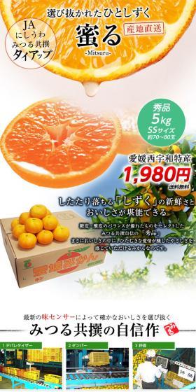 Honeyed Satsuma Mandarin LP design (fruit-vegetable / White-based / Trust and Safety) PC version