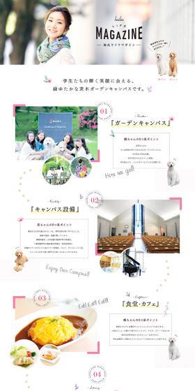 Plum Blossom Life Magazine LP design (Services, Insurance, and Finance / White-based / Cute style) PC version