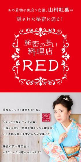 秘密の多い料理店REDのLPデザイン（家電・パソコン・通信機器／グレー系／信頼・安心系）スマホ版