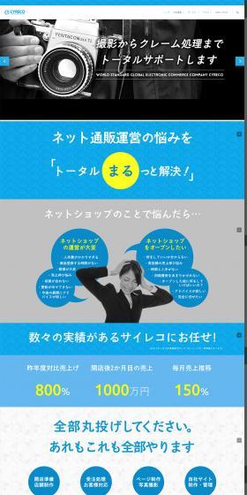 Developer and Operator Company CyberRecord LP design (Services, Insurance, and Finance / Shades of blue / Simple) PC version