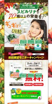 美健の極みのLPデザイン（健康・美容食品・サプリ／グリーン系／ナチュラル系）PC版