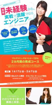 TechnoPro Corporation Job Openings LP design (recruitment / Shades of blue / Simple) PC version